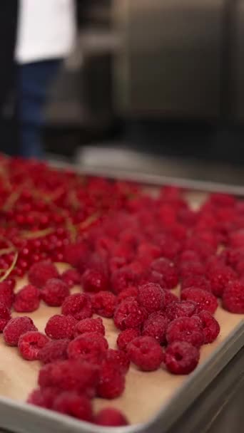 Chef Cooks Berries Freezing Close — Stock Video