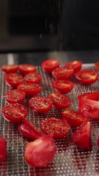 Chef Prepara Legumes Para Congelamento Close — Vídeo de Stock