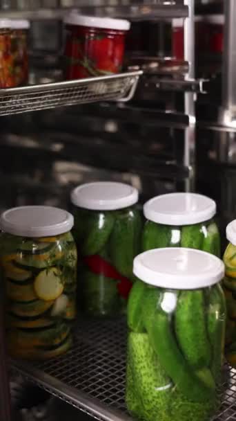 料理人はキッチンで野菜を保存しています クローズアップ — ストック動画