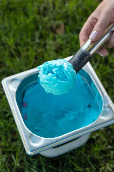 美味的冰淇淋放在草地上的铁盘里 — 图库照片
