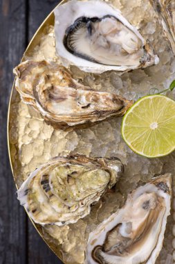 Büyük, güzel, taze istiridyeler karanlık bir masada. Kapat.