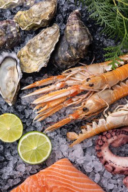 Buzlu taze deniz ürünleri. Yakın plan. Ahtapot, somon, karides.
