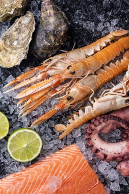 Buzlu taze deniz ürünleri. Yakın plan. Ahtapot, somon, karides.