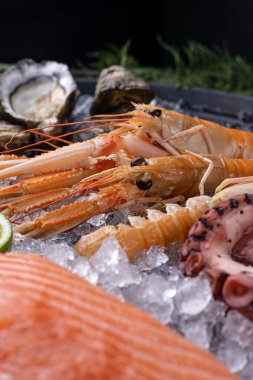 Buzlu taze deniz ürünleri. Yakın plan. Ahtapot, somon, karides.