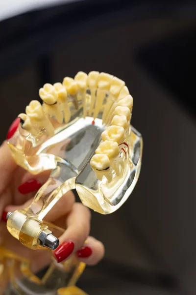 Odwiedzam Dentystę Biuro Dentystyczne Stomatologia — Zdjęcie stockowe