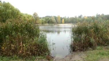 Kyiv 'deki Dnipro Nehri