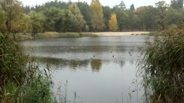 Kyiv 'deki Dnipro Nehri