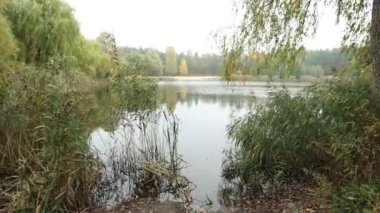 Kyiv 'deki Dnipro Nehri