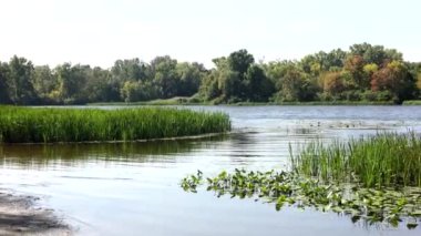 Kyiv 'deki Dnipro Nehri