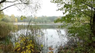 Kyiv 'deki Dnipro Nehri