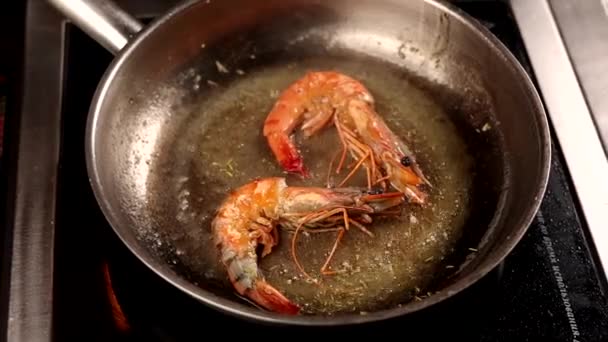 Вкусные Большие Креветки Жарятся Сковороде Закрыть — стоковое видео