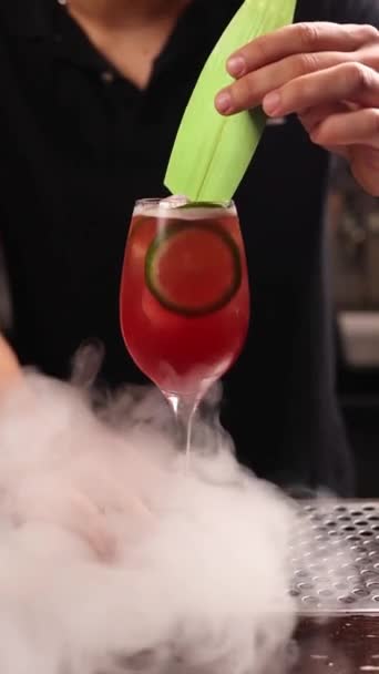 一个酒保在酒吧里准备了一杯酒精鸡尾酒 靠近点 — 图库视频影像