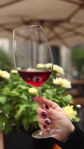 Genç Bir Kızın Elindeki Kırmızı Şarap — Stok video