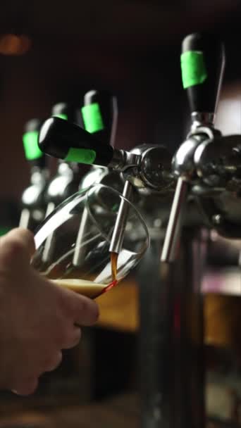 Een Barman Giet Bier Een Mok Sluiten — Stockvideo