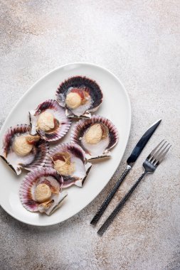 Dükkanda dondurulmuş deniz tarağı. Kapat.