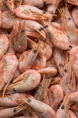 Dükkanda dondurulmuş karides. Kapat.