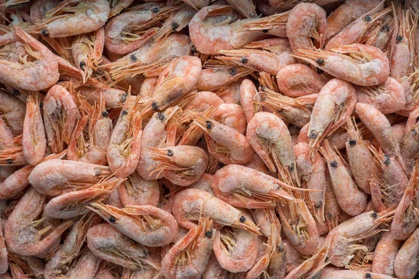 Frozen shrimp in a store. Close up