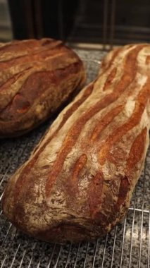 Aşçı fırında ekmek yapıyor.