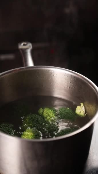Der Koch Bereitet Ein Gemüsegericht — Stockvideo