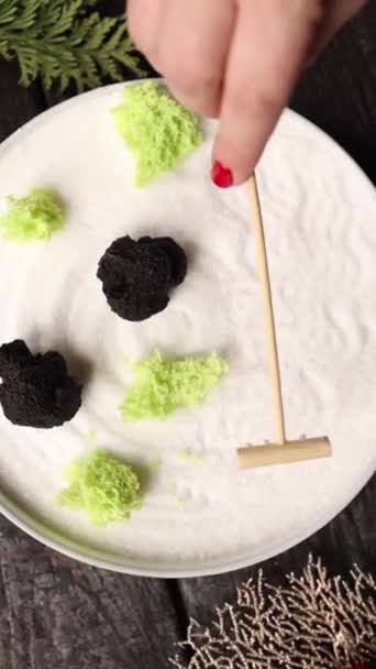 Японський Десерт Піску Крупним Планом — стокове відео