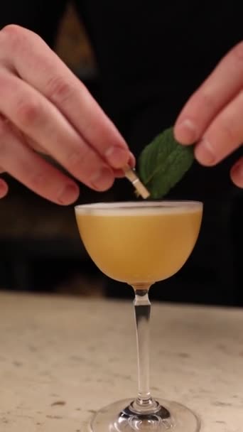 Bir Barmen Alkollü Kokteyl Hazırlar Yakın Çekimler — Stok video