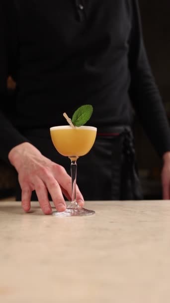 酒保准备酒精鸡尾酒 — 图库视频影像