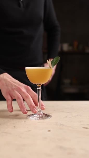 Ein Barkeeper Bereitet Einen Alkoholischen Cocktail Nahaufnahmen — Stockvideo