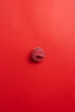 Taze ahududu arka planı. Ahududu deseni. Üst görünüm.