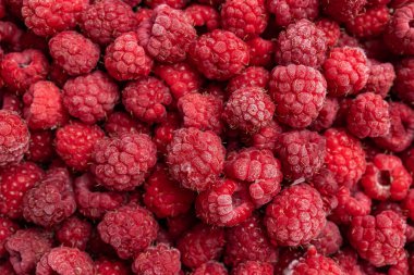 Taze ahududu arka planı. Ahududu deseni. Üst görünüm.