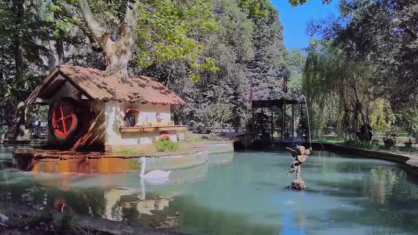 Viareggio Ιταλία Ιουλίου 2023 Ένας Κύκνος Κολυμπά Μια Λίμνη Ένα — Αρχείο Βίντεο