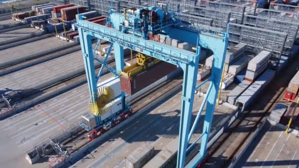 Savona Italy August 2023 Aerial View Large Crane Lifting Container — Stock Video