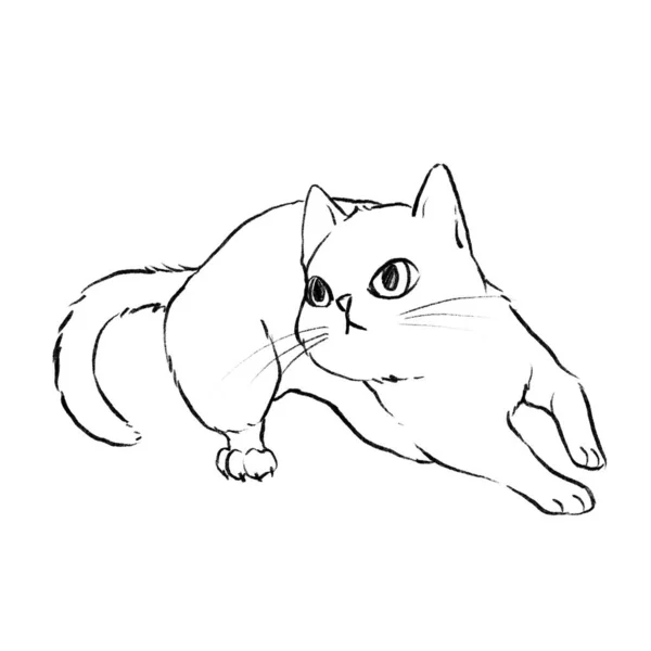Kedi Koşmaya Hazır Renklendirme Için Çizgi Sanatı — Stok fotoğraf