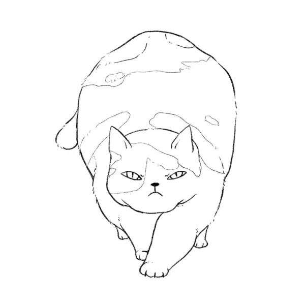 Fat Tricolor Cat Walked Straight Ahead Line Art Coloring — Stockfoto