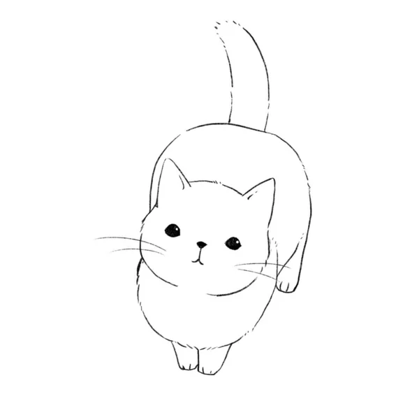 Cat Looking Its Owner Line Drawing Coloring — Stockfoto