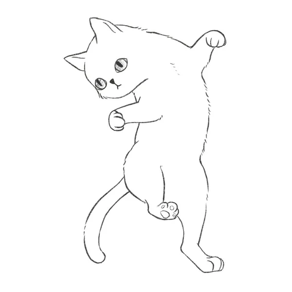 ぬり絵 イラストのための浮遊猫の線画 — ストック写真