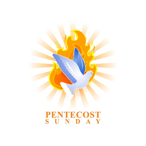 Conceito Ilustração Vetorial Bandeira Saudação Domingo Pentecostes —  Vetores de Stock