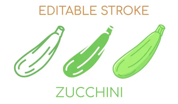 Zucchini线图标 填充和平面 可编辑中风 矢量图形