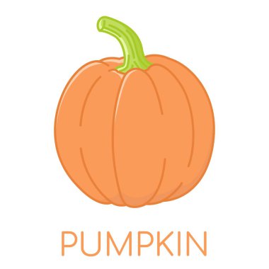 Balkabağı sebzesi renkli simgeler