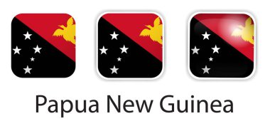 Papua Yeni Gine bayrak vektör simgeleri yuvarlak kare şeklinde ayarlandı