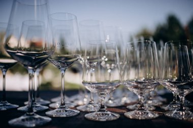 many empty clean shiny elegant glasses for alcohol