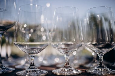 many empty clean shiny elegant glasses for alcohol