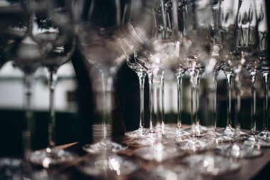many empty clean shiny elegant glasses for alcohol