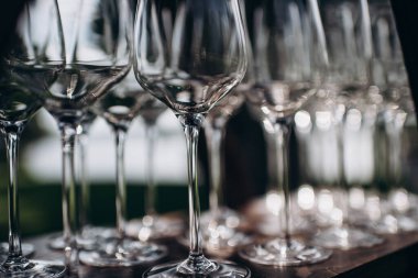 many empty clean shiny elegant glasses for alcohol