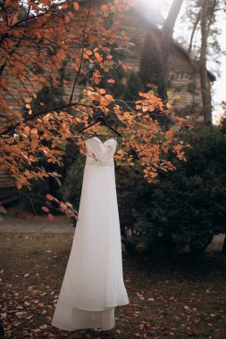 elegant wedding dress hanging on a tree on the background of the house, wedding in autumn