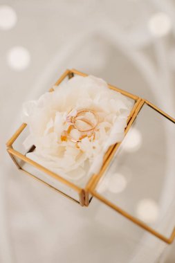 Nişan yüzükleriyle birlikte yakın plan dekoratif cam bir kutuda duruyor.