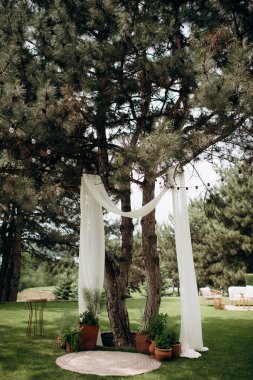 Düğün törenlerinin modası, ağaçta kumaşlarla süslenmiş ve yeşil bitkiler yaşıyor. Yabanturpu lavında doğal düğün dekoru.