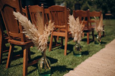 Boho tarzında düğün süsü, düğün töreninde ahşap sandalyelerin yanında cam bir vazoda birkaç dal pampa otu. Şık, kuru kamışlı lüks bir dekor.