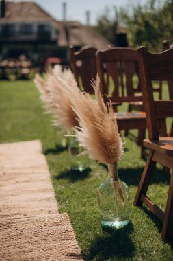 Boho tarzında düğün süsü, düğün töreninde ahşap sandalyelerin yanında cam bir vazoda birkaç dal pampa otu. Şık, kuru kamışlı lüks bir dekor.