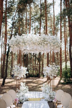 Bir çam ormanında gösterişli bir düğün, beyaz ayaklı zarif beyaz sandalyeler, beyaz çiçeklerle süslenmiş uzun bir kemer ve el değmemiş beyaz bir koridor.