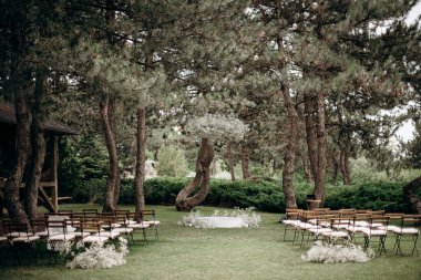 Podyumun üzerinde bir bulut gibi sallanan narin çam ağaçlarıyla çevrili küçük bir çayır.